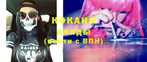 стафф Алзамай