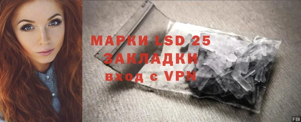 стафф Алзамай